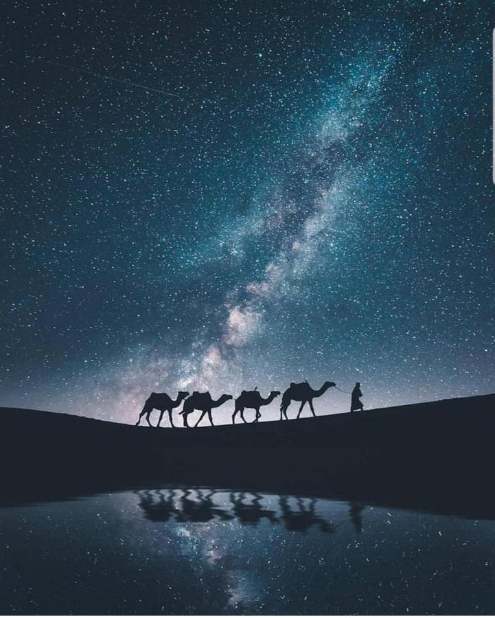 Sahara Family Camp Merzouga Eksteriør bilde